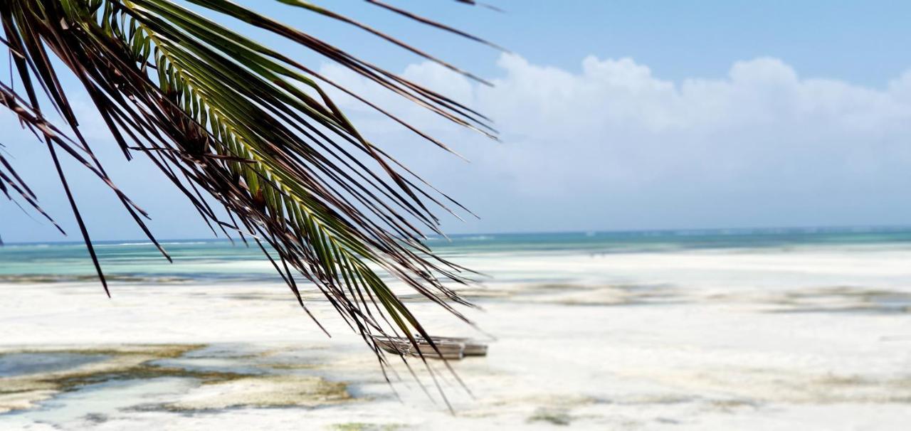 Arya Boutique Resort Kiwengwa  Ngoại thất bức ảnh