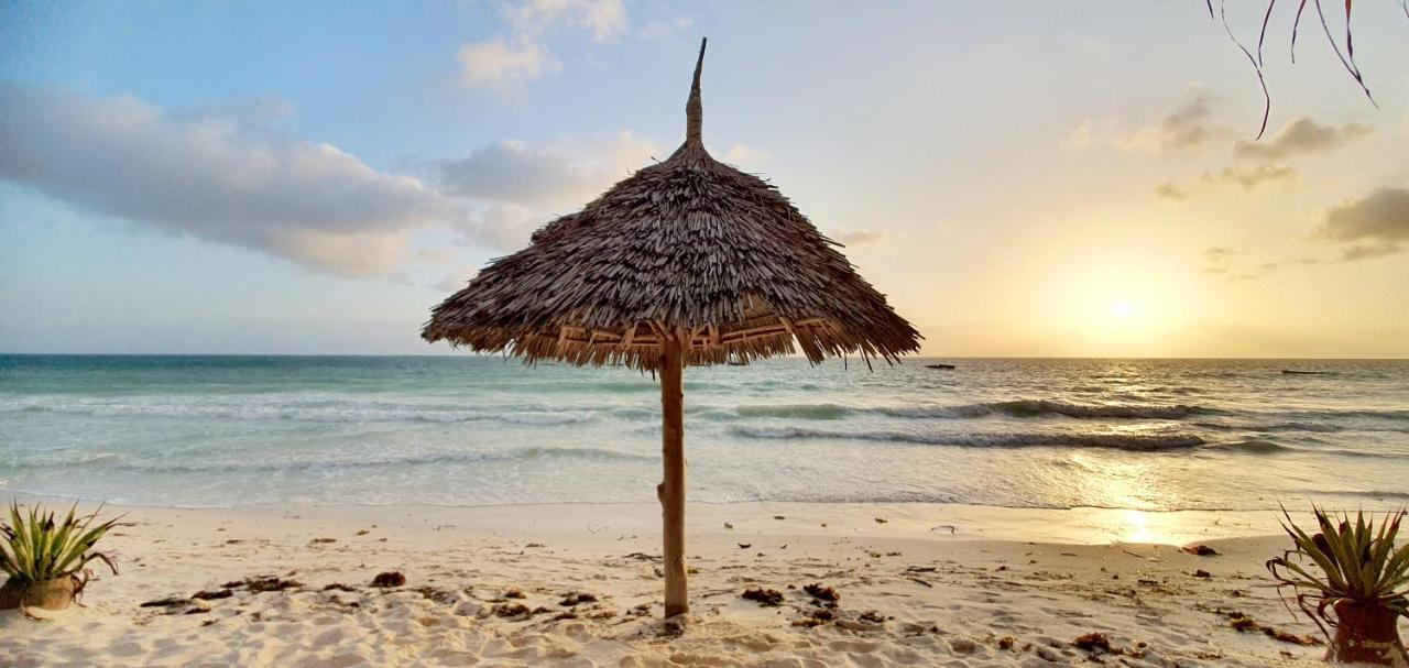 Arya Boutique Resort Kiwengwa  Ngoại thất bức ảnh