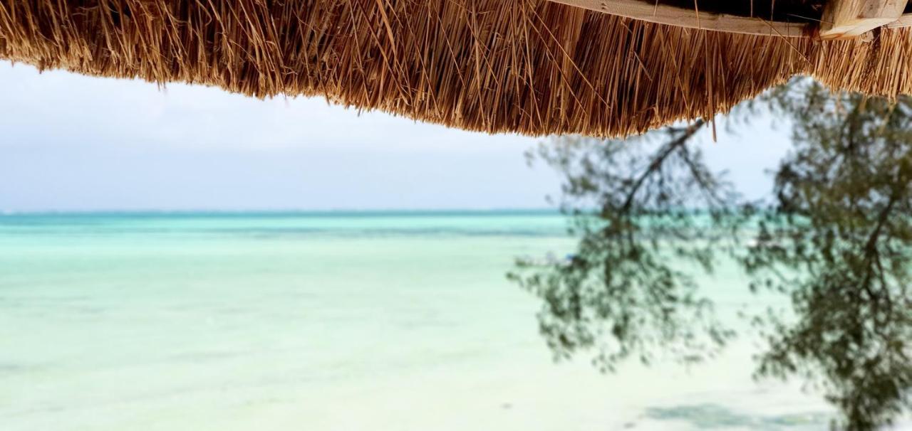 Arya Boutique Resort Kiwengwa  Ngoại thất bức ảnh