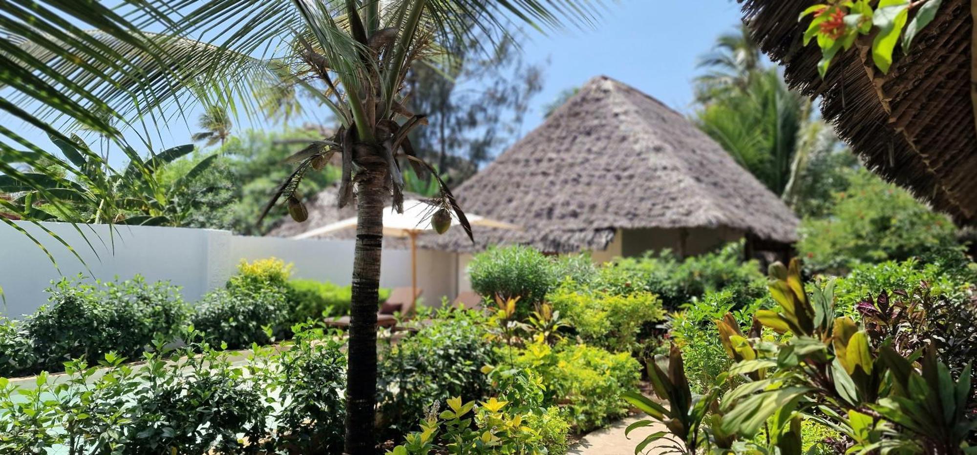 Arya Boutique Resort Kiwengwa  Ngoại thất bức ảnh